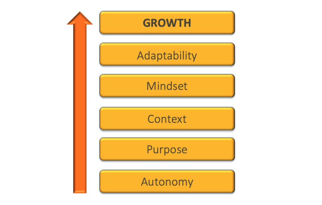 Diagram of growth steps: Adaptability, Mindset, Context, Purpose, Autonomy.