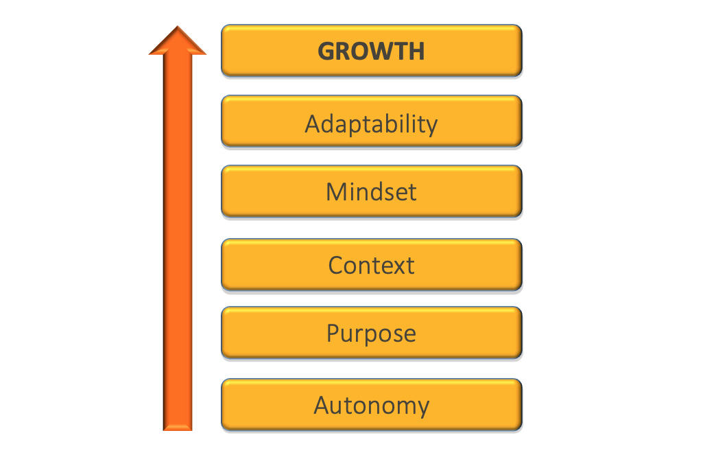 Diagram of growth steps: Adaptability, Mindset, Context, Purpose, Autonomy.