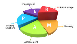 Colorful 3D pie chart explaining components of well-being.