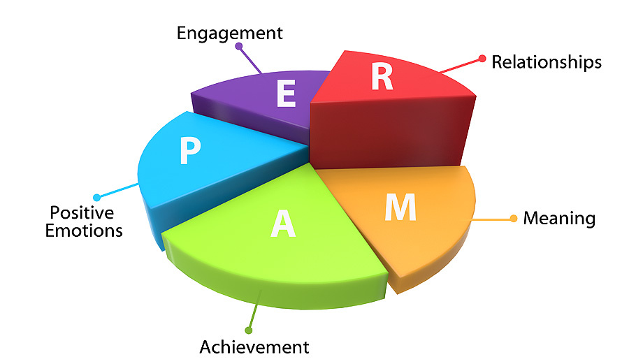 Colorful 3D pie chart explaining components of well-being.