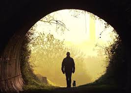 Man with dog walking through sunlit tunnel into woods.