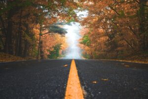 Sunlit autumn road through vibrant forest