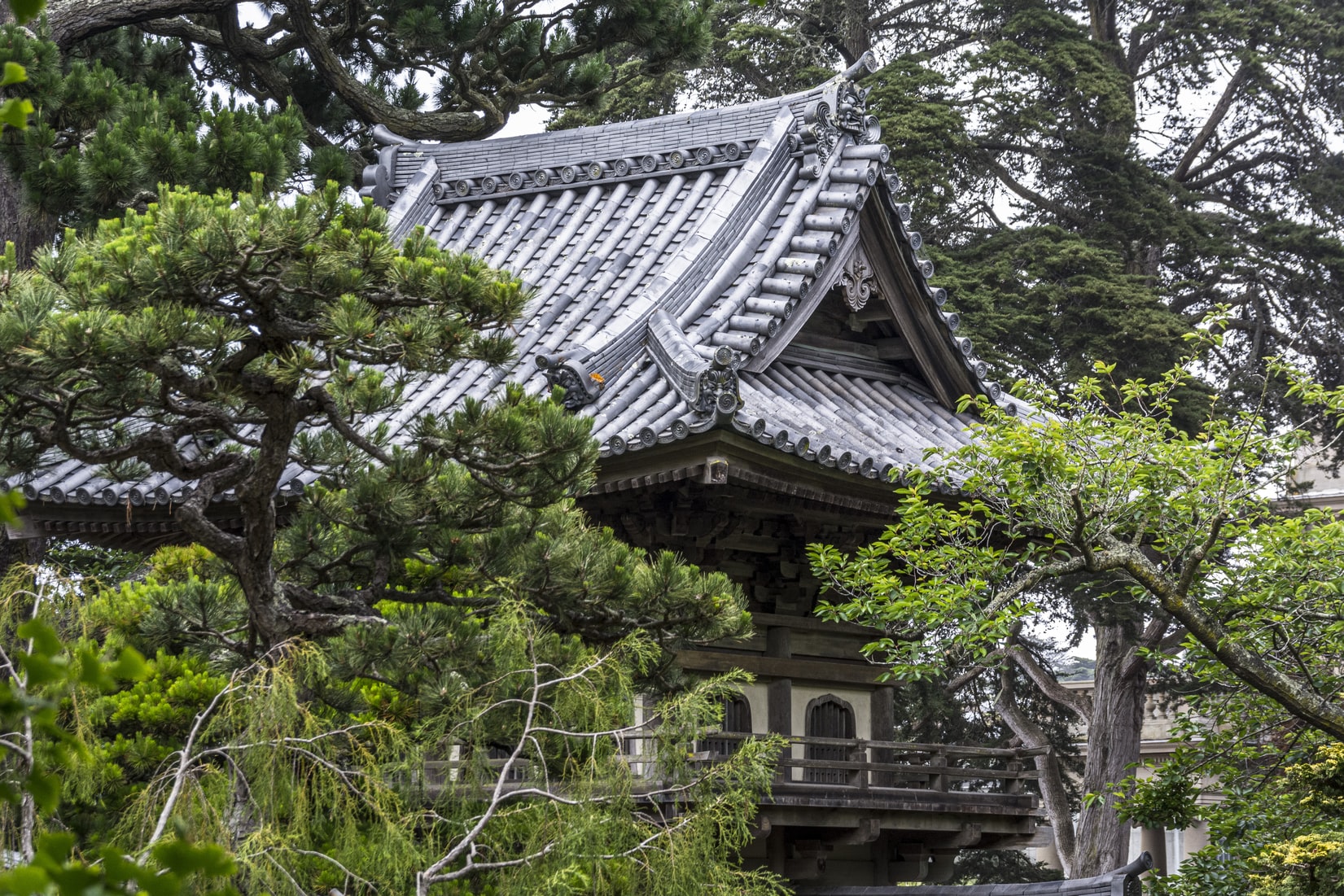 Traditional Japanese pagoda surrounded by lush greenery.