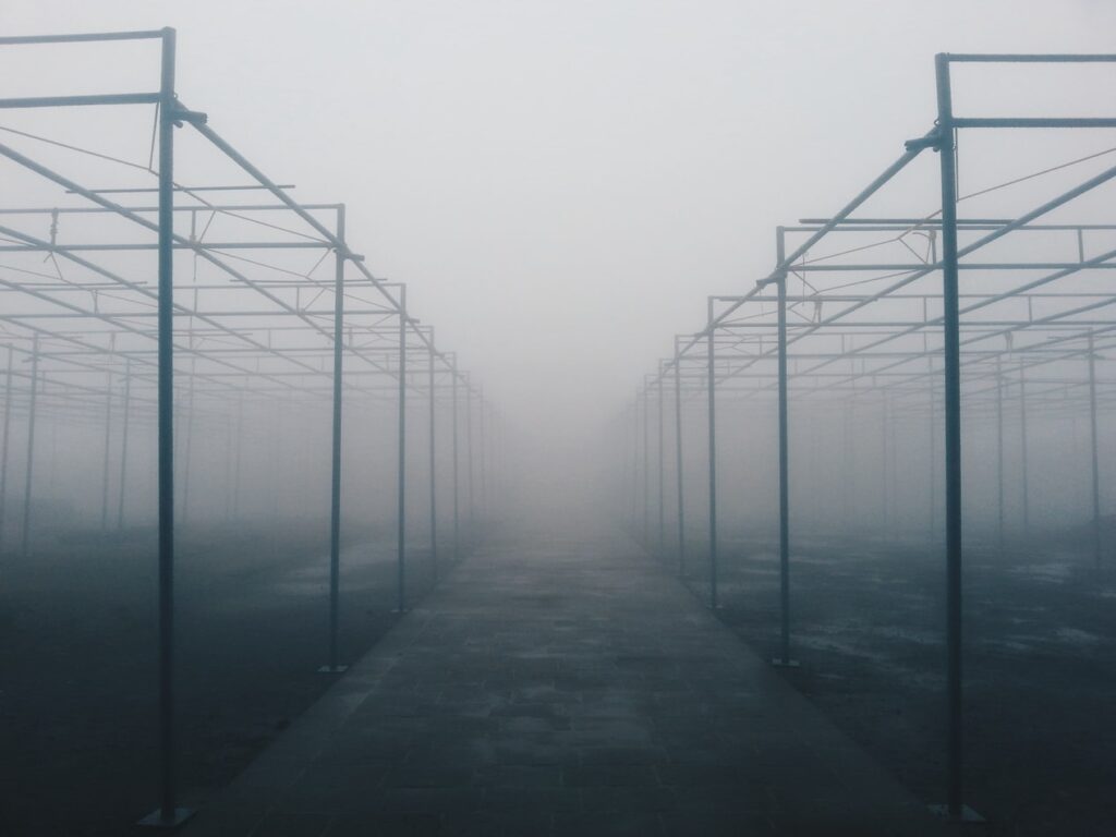 Misty pathway through empty outdoor structures.