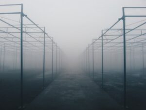 Misty pathway through empty outdoor structures.