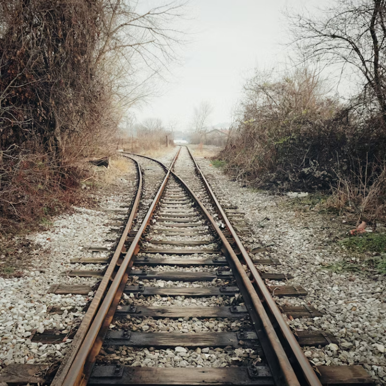 Railway tracks splitting in foggy rural landscape